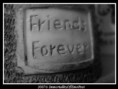 /album/fotogaleria/priatelstvo2-jpg/