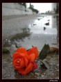 /album/fotogaleria/kt7orzqa-jpg/
