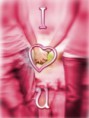 /album/fotogaleria/sjfzdwg4-jpg/
